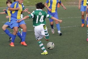 米兰体育网址-基层足球发展资源分配不均  第3张